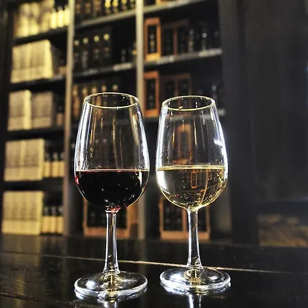 Bmyguest - Cardosas Stylish *